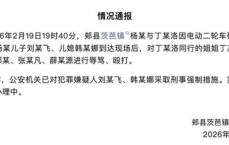 河南平顶山再通报打人事件