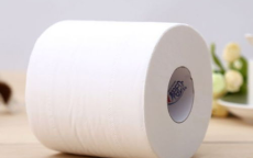 揭秘卫生纸压花之谜：为何非得如此设计？