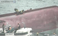 半日航行，位移为零：小狗船上的奇妙旅程