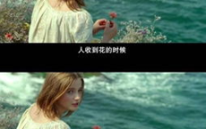 我单身只是我不想谈恋爱