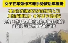 撞倒作不雅手势女子司机回应