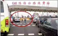 误入歧途，男子下错收费站逆行被罚200扣12分