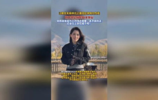 揭秘森林北回应体制内传闻：真相与回应全解析