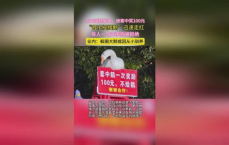 音乐摇摆鹅爆红网络，万元求购遭拒，背后的故事引人关注