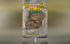 海关查获老鼠肉干 旅客：用来吃的