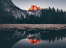 石狮溯源：靖国神社前的中国石狮历史探寻
